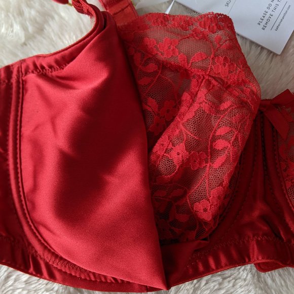 Katherine Hamilton Sophia Bra (36DD) & Thong (UK 14 / US 10) - Picture 2 of 7